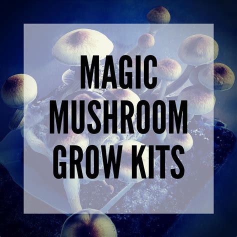 majic mushroom grow kit